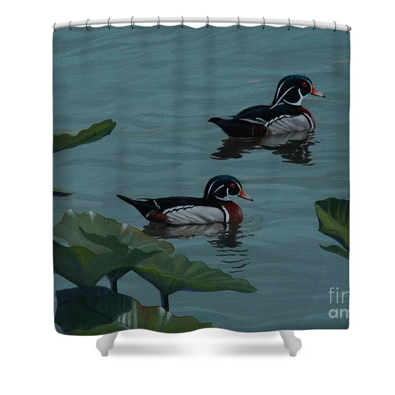 Ducks Shower Curtain featuring the painting Wood Ducks on lake Morton by Michael Nowak
