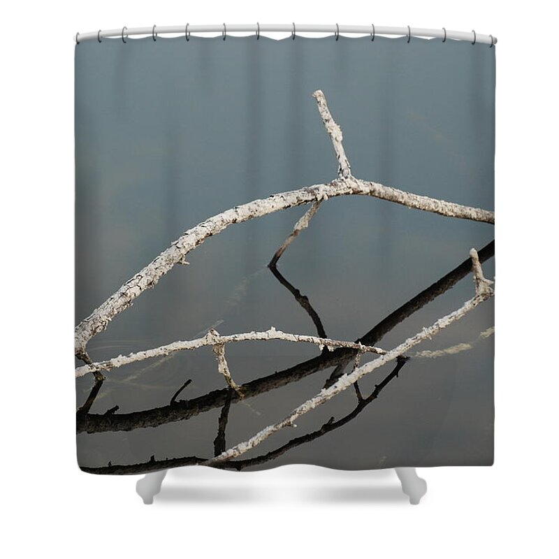 Blue Shower Curtain featuring the photograph Wood In The Water by Rob Hans