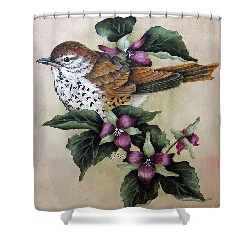 Wood Thrush Shower Curtain featuring the painting Wood Thrush Painting by Cindy Treger
