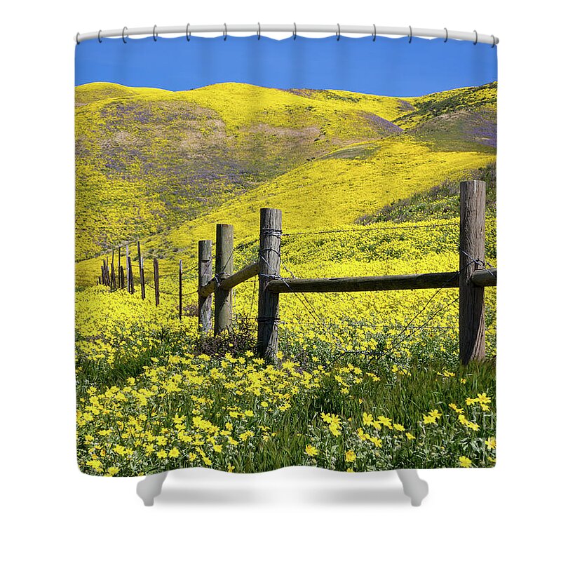 Carrizo Shower Curtain featuring the photograph Wooden Fence Along Highway 58 by Mimi Ditchie