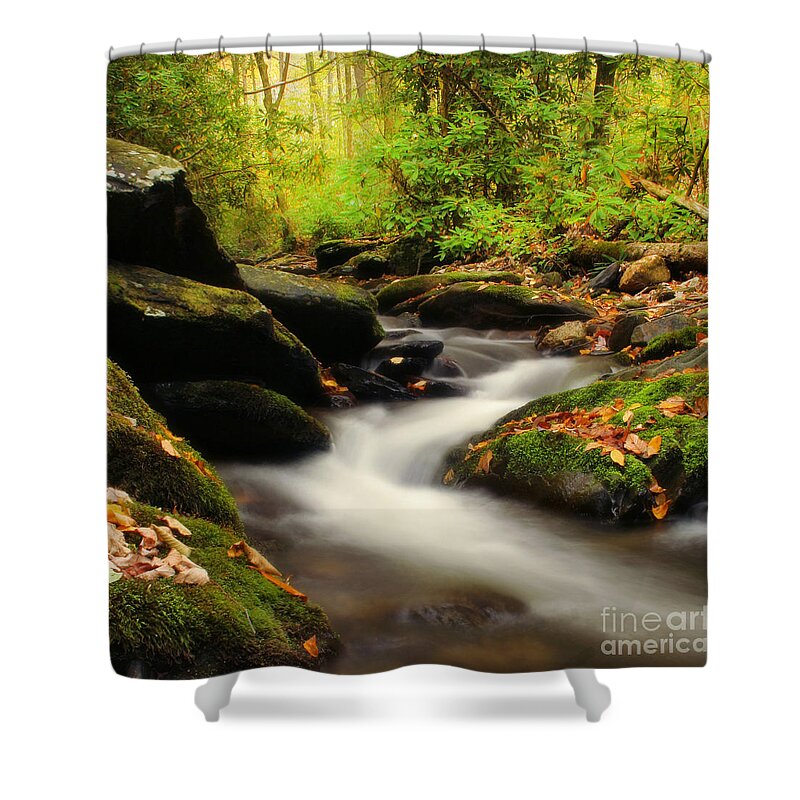 Autumn Shower Curtain featuring the photograph Woodland Fantasies by Darren Fisher