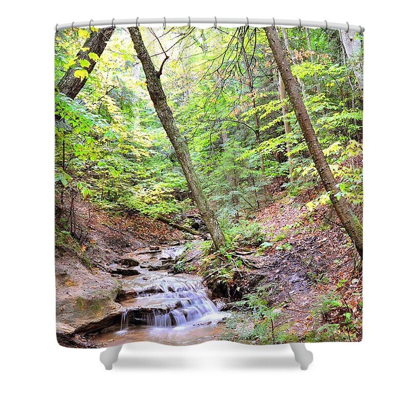 Brook Shower Curtain featuring the photograph Babbling Brook by Terri Gostola