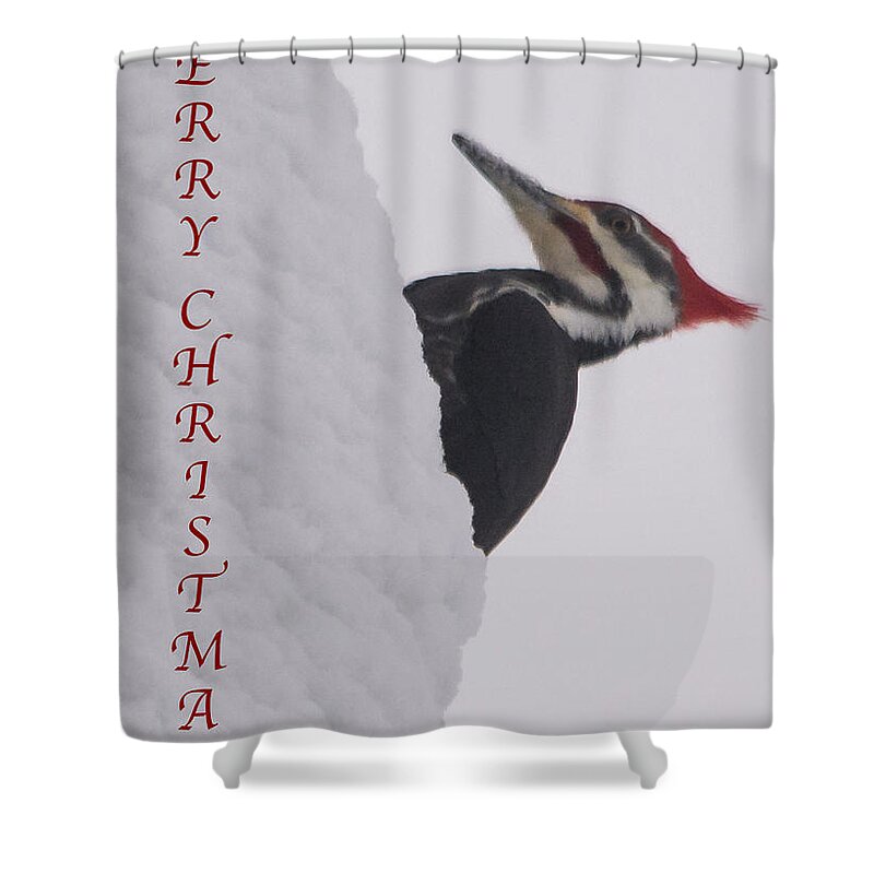 Pileated Woodpecker Shower Curtain featuring the photograph Woodpecker Christmas by Holden The Moment
