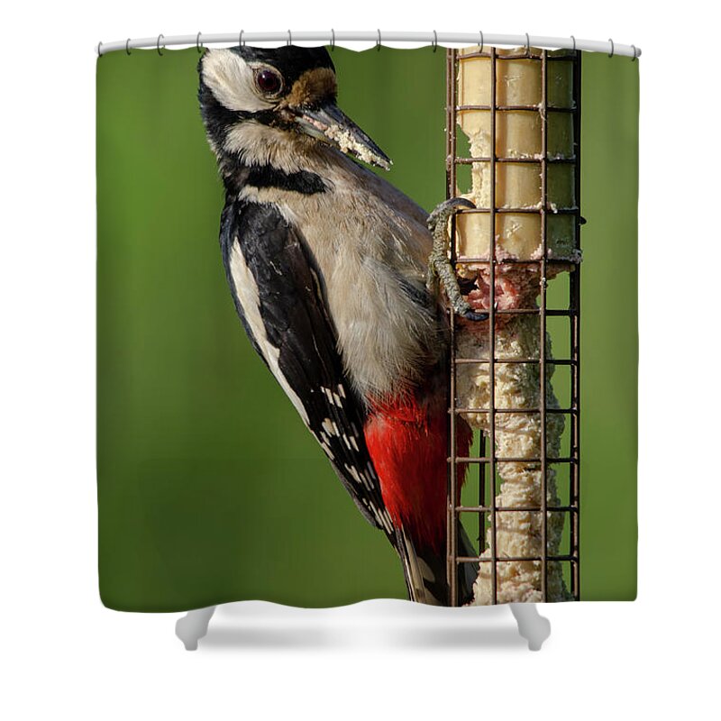 Woodpecker Shower Curtain featuring the photograph Woodpecker on feeder by Steev Stamford