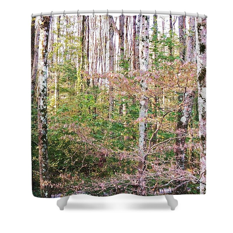 Trees Shower Curtain featuring the photograph Woods in New Jersey by Nigel Radcliffe