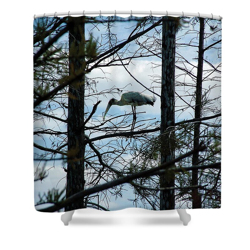 Bird Shower Curtain featuring the photograph Woodstork Within The Forest by William Bitman