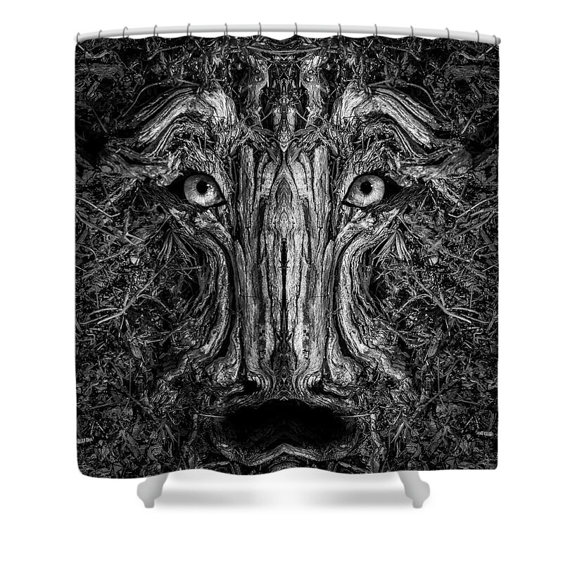 Wood Shower Curtain featuring the photograph Woody 237 BW by Rick Mosher