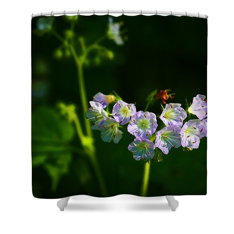 Woolen Breeches Shower Curtain featuring the photograph Woolen Breeches in Lost Valley by Michael Dougherty