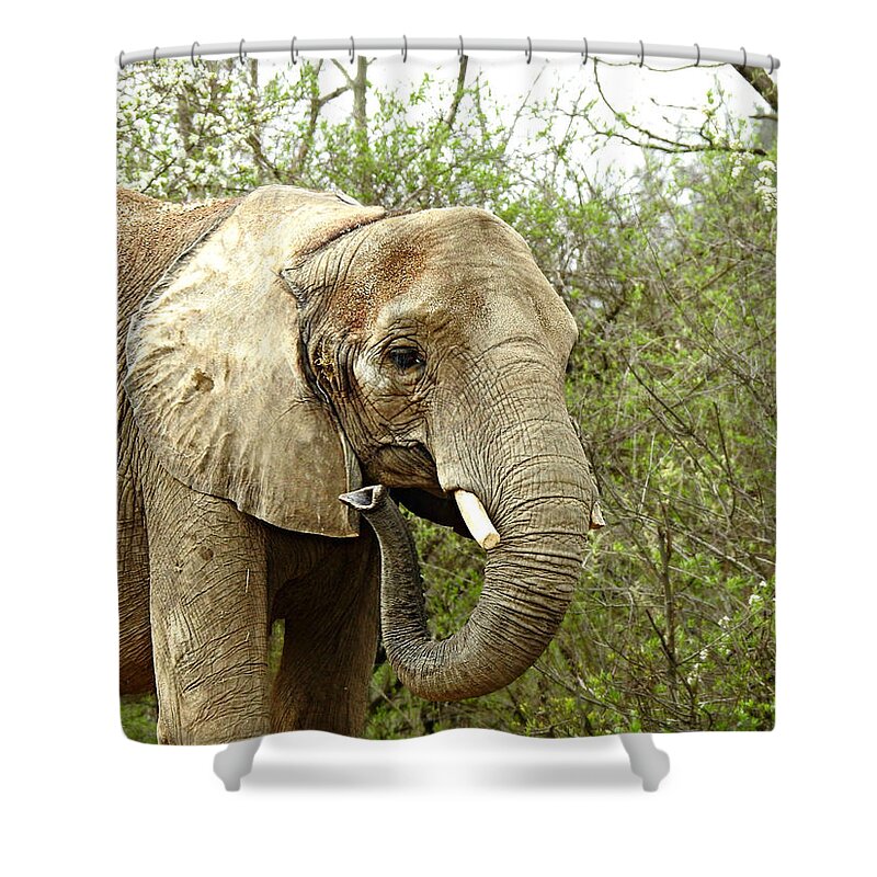 Wrinkles Shower Curtain featuring the photograph Wrinkles by Dark Whimsy
