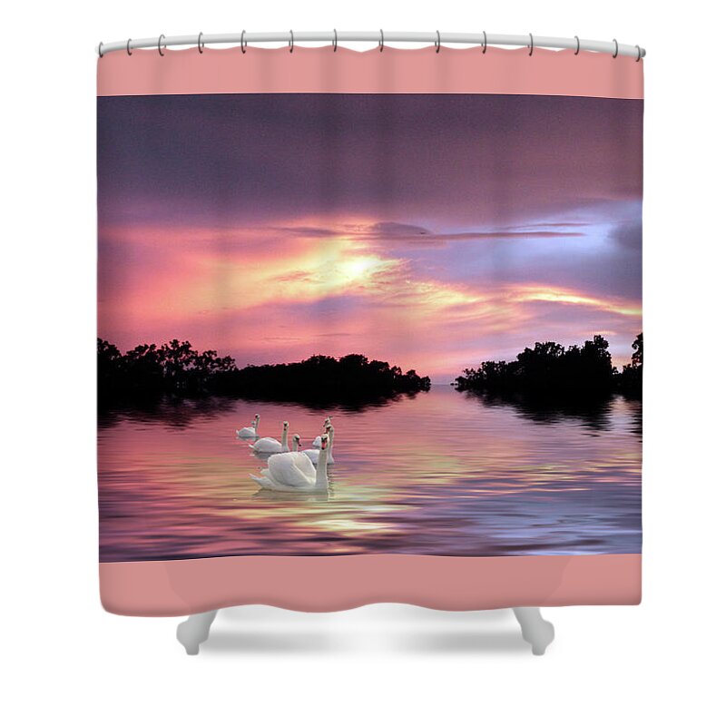 Swans Shower Curtain featuring the photograph Sunset Swans by Jessica Jenney