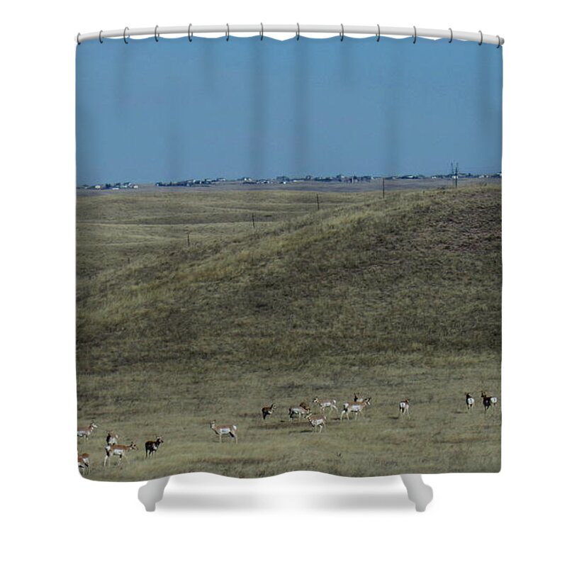 Wyoming Wind Turbine Wyoming Pronghorn Antelope Herd Wyoming Wildlife Wyoming Mammals Wyoming Wilderness Wyoming Mega Fauna Fastest Land Animal In North America Fastest Animals In The World Rare Mammals Wild West Wildlife Icons North American Ungulates Pronghorn Wind Farm Shower Curtain featuring the photograph Wyoming Pronghorns by Joshua Bales