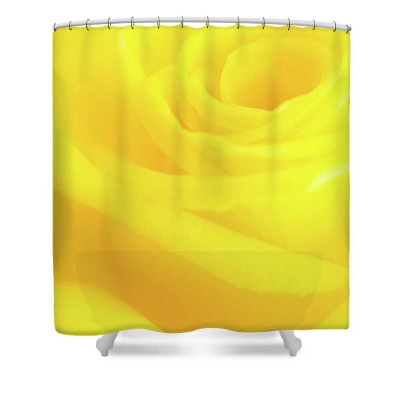 Yellow Shower Curtain featuring the photograph Yello Rose by Andy Myatt