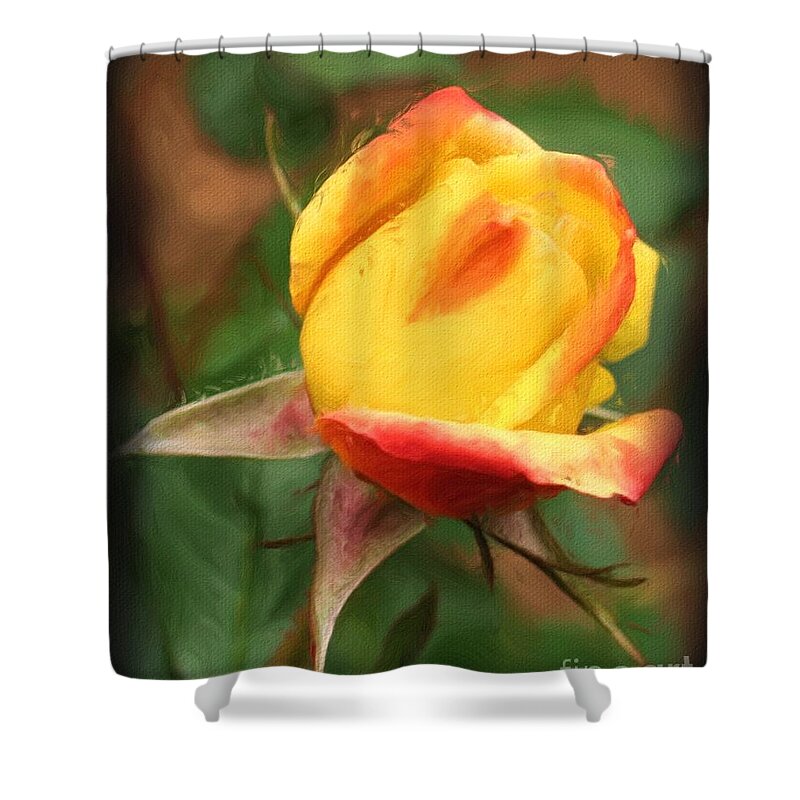 Rose Shower Curtain featuring the painting Yellow And Orange Rosebud by Smilin Eyes Treasures