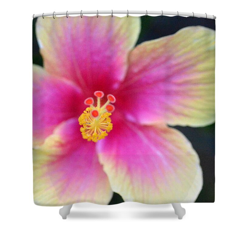 Flower Shower Curtain featuring the photograph Yellow and Pink Hibiscus 2 by Amy Fose