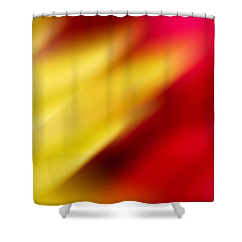 Yellow Shower Curtain featuring the photograph Yellow and Red by Crystal Wightman