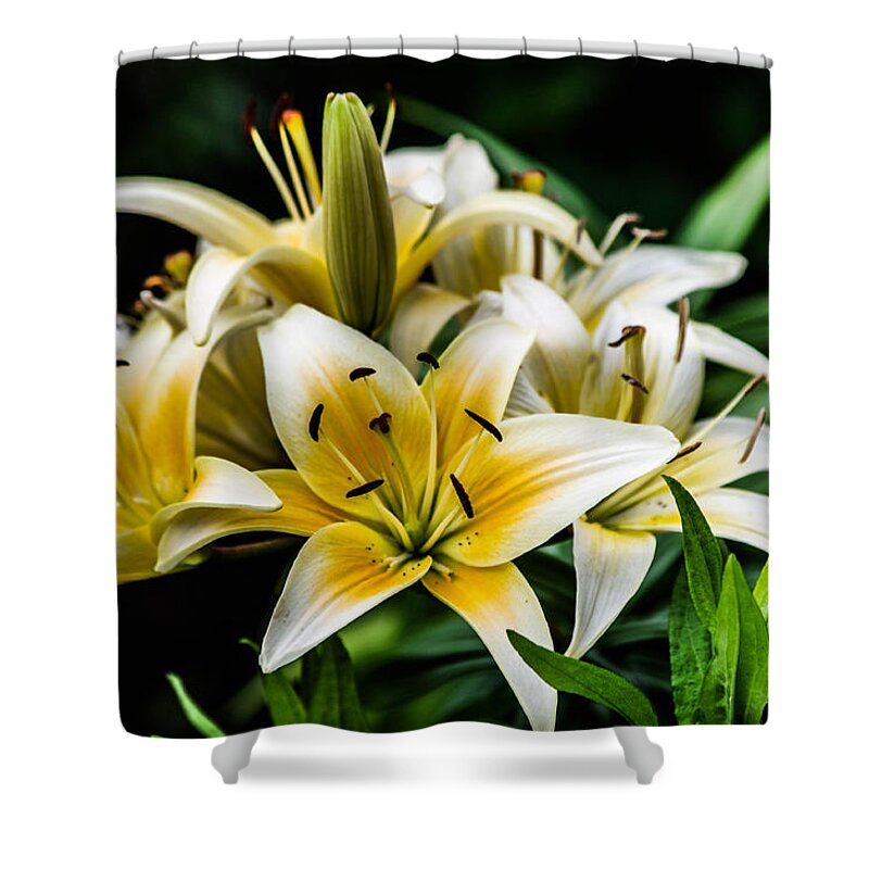 Flower Shower Curtain featuring the photograph Yellow and white lilys by Gerald Kloss