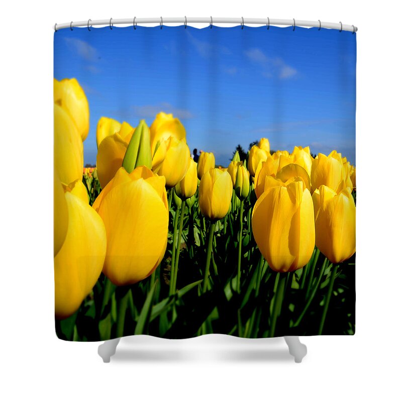 Landscape Shower Curtain featuring the photograph Yellow by Aparna Tandon