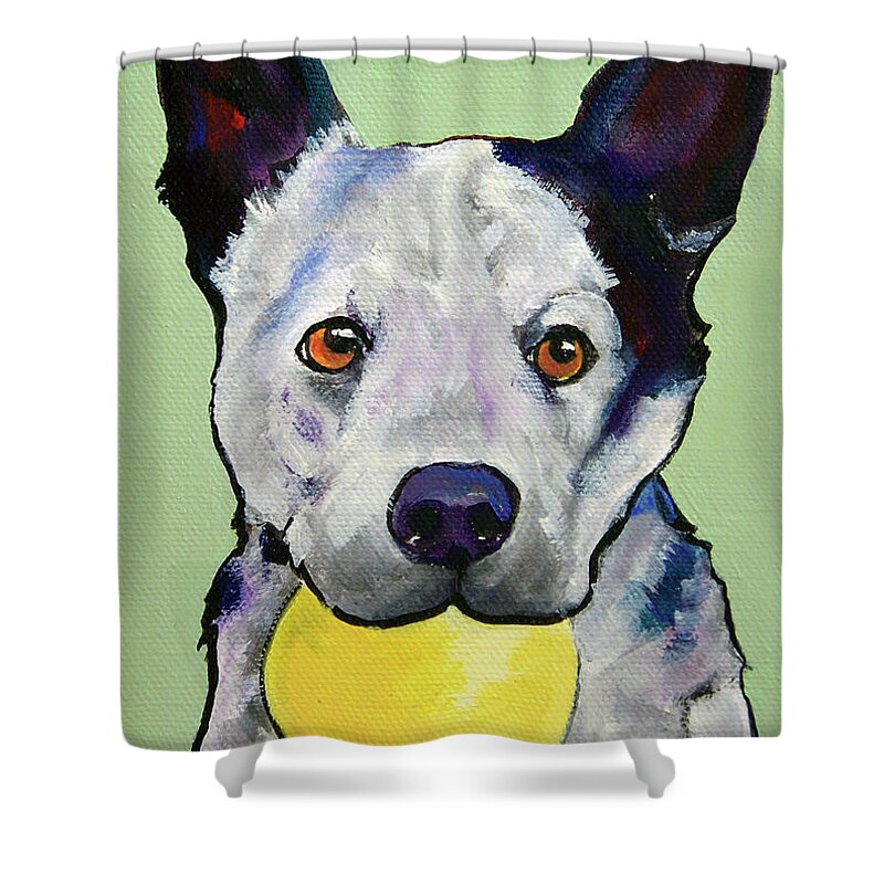 Australian Cattle Dog Shower Curtain featuring the painting Yellow Ball by Pat Saunders-White