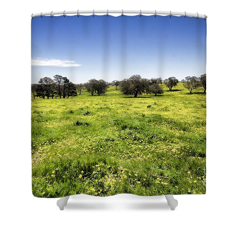 Trees Shower Curtain featuring the photograph Yellow Blanket by Douglas Barnard