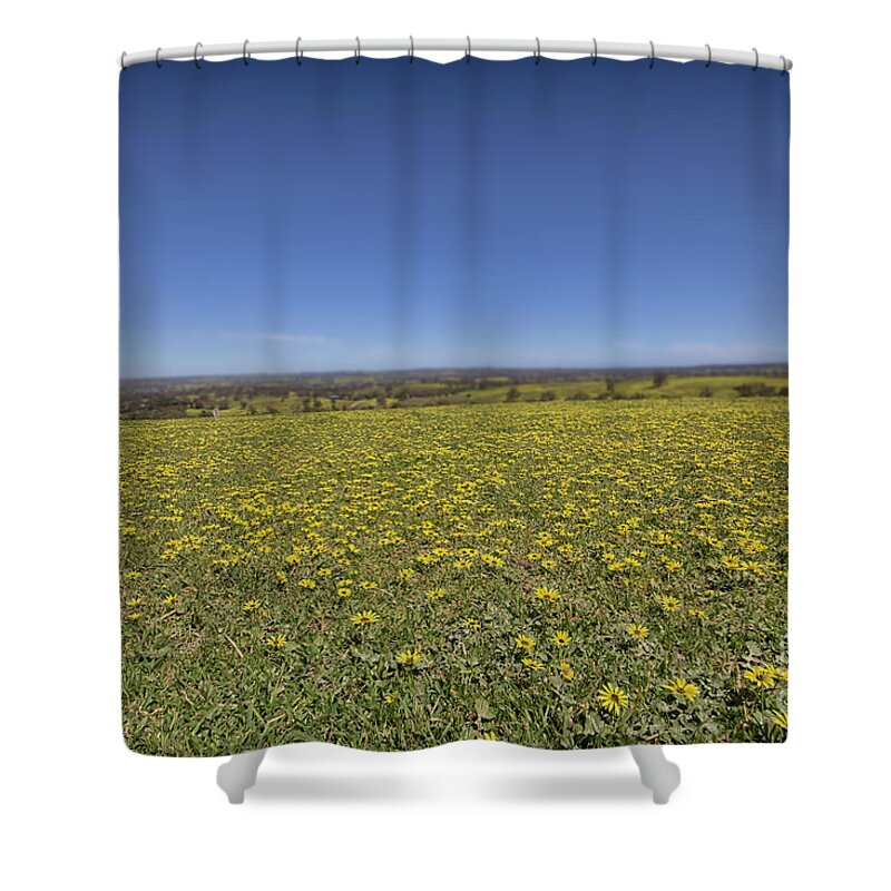Trees Shower Curtain featuring the photograph Yellow Blanket II by Douglas Barnard