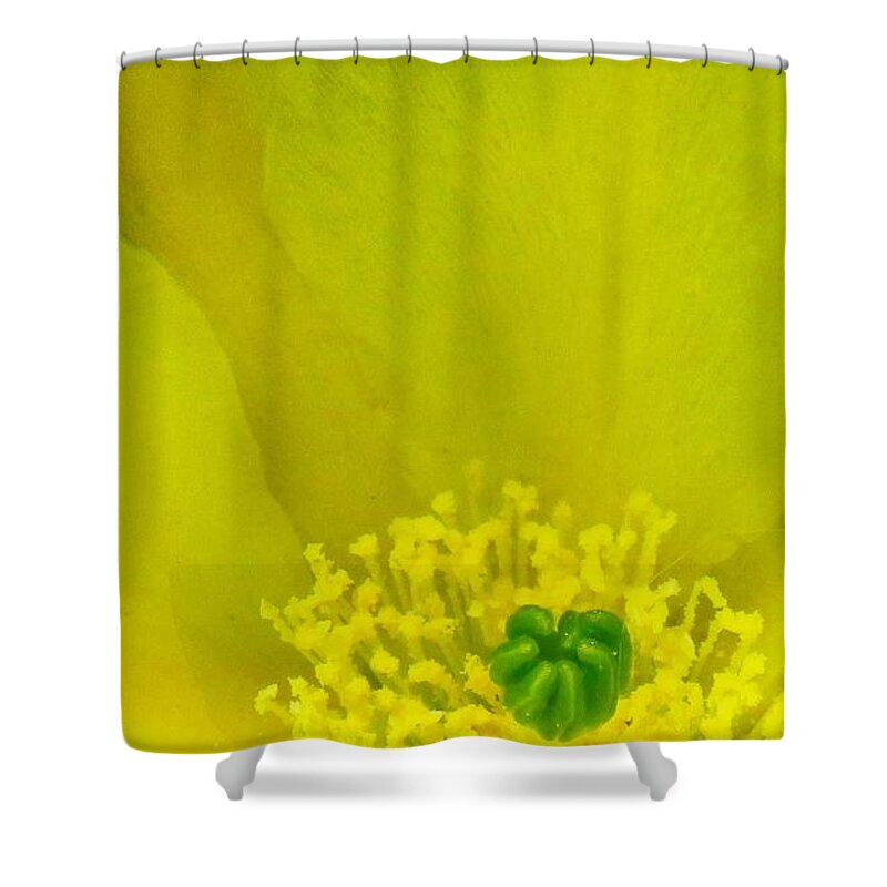  Arizona Shower Curtain featuring the photograph Yellow Bloom 1 - Prickly Pear Cactus by Judy Kennedy
