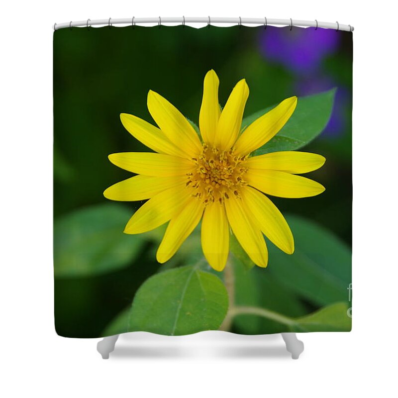 Flower Shower Curtain featuring the photograph Yellow button by Jeff Swan