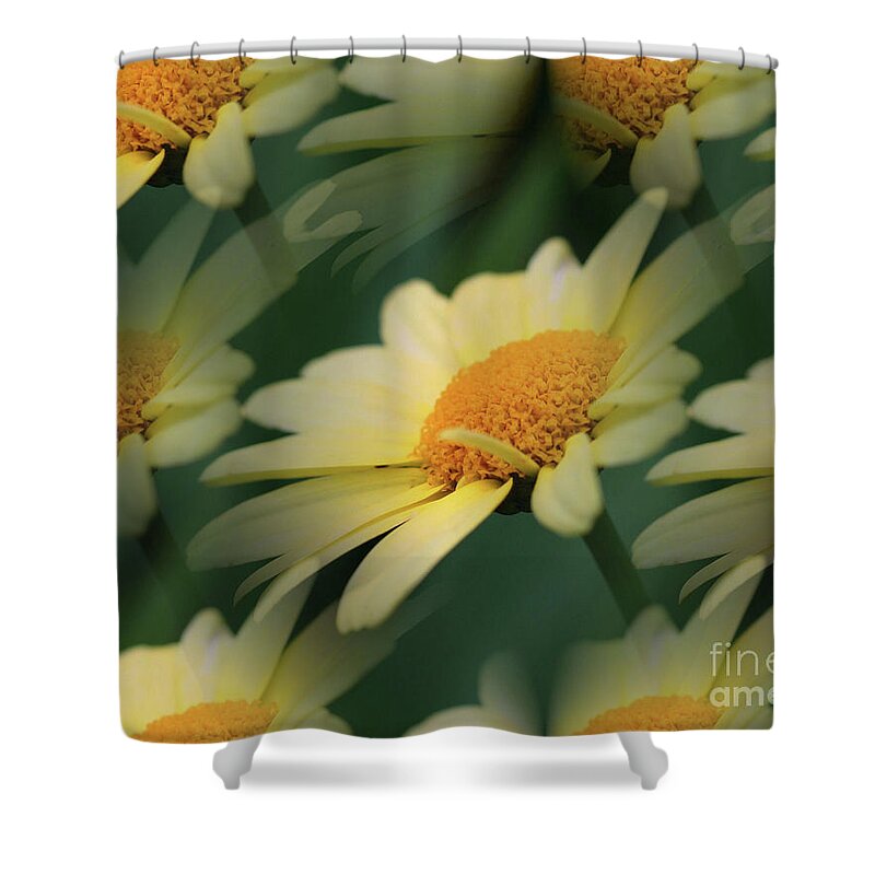 Daisy Shower Curtain featuring the photograph Yellow Daisies by Smilin Eyes Treasures