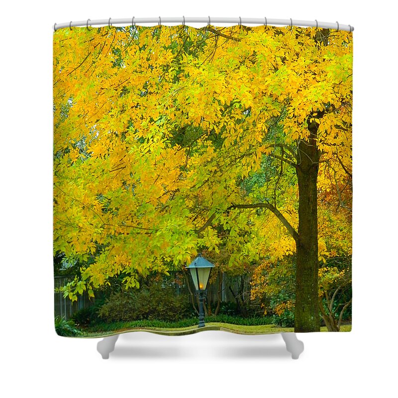 Yellow Shower Curtain featuring the photograph Yellow Drapes by Karen Wagner