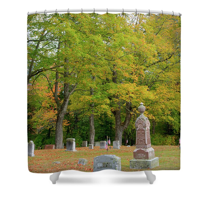 Auburn Shower Curtain featuring the photograph Yellow elms by Jane Luxton