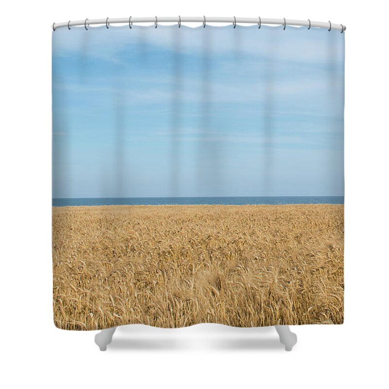 Background Shower Curtain featuring the photograph Yellow field, sea and blue sky by Michalakis Ppalis