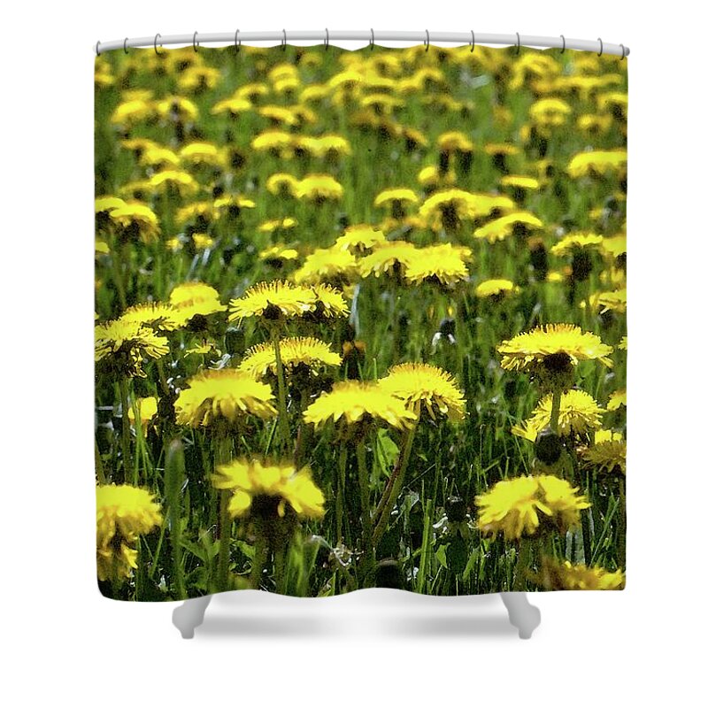 Abstract Shower Curtain featuring the digital art Yellow Field Two by Lyle Crump