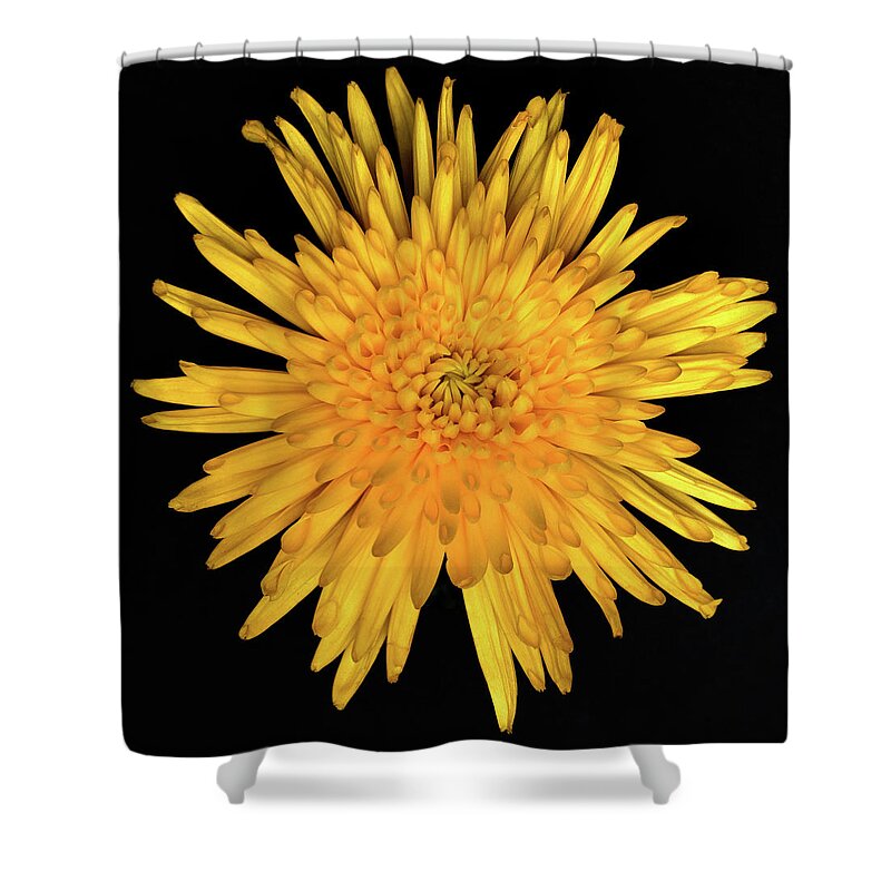 Macro Shower Curtain featuring the photograph Yellow Flower Macro by Allin Sorenson