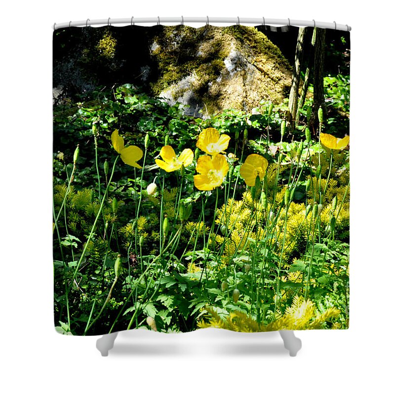 Flowers Shower Curtain featuring the photograph Yellow Flowers Bathing in the Sun by Tatyana Searcy