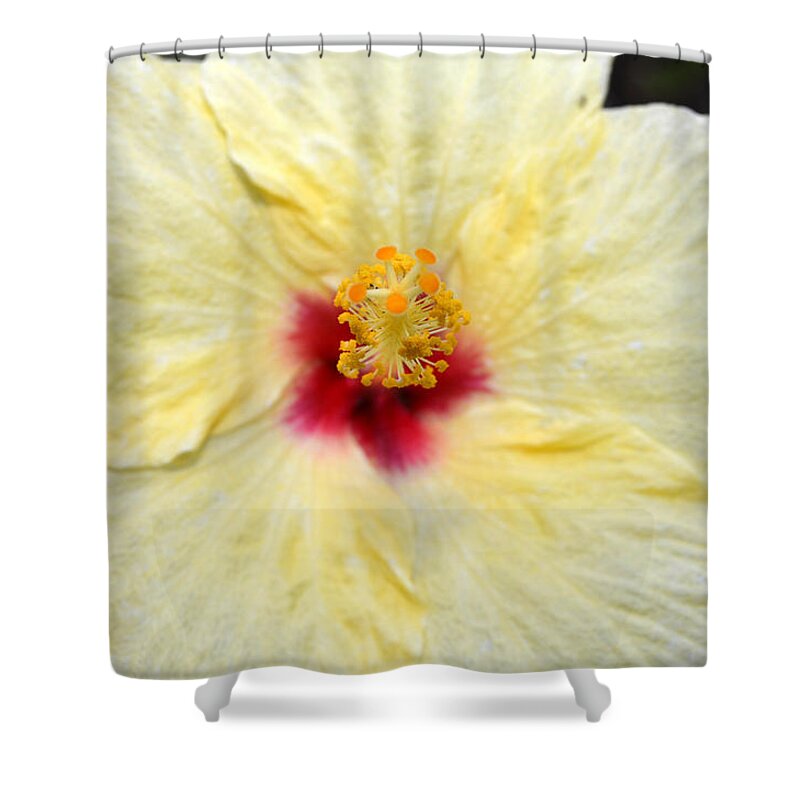 Flower Shower Curtain featuring the photograph Yellow Red Hibiscus 1 by Amy Fose