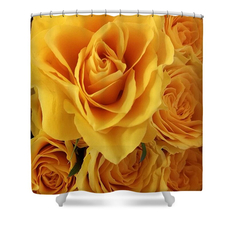 Rose Shower Curtain featuring the photograph Yellow joy by Rosita Larsson