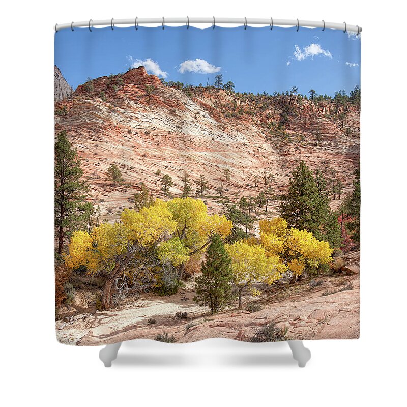 Landscape Shower Curtain featuring the photograph Yellow and Reds by John M Bailey