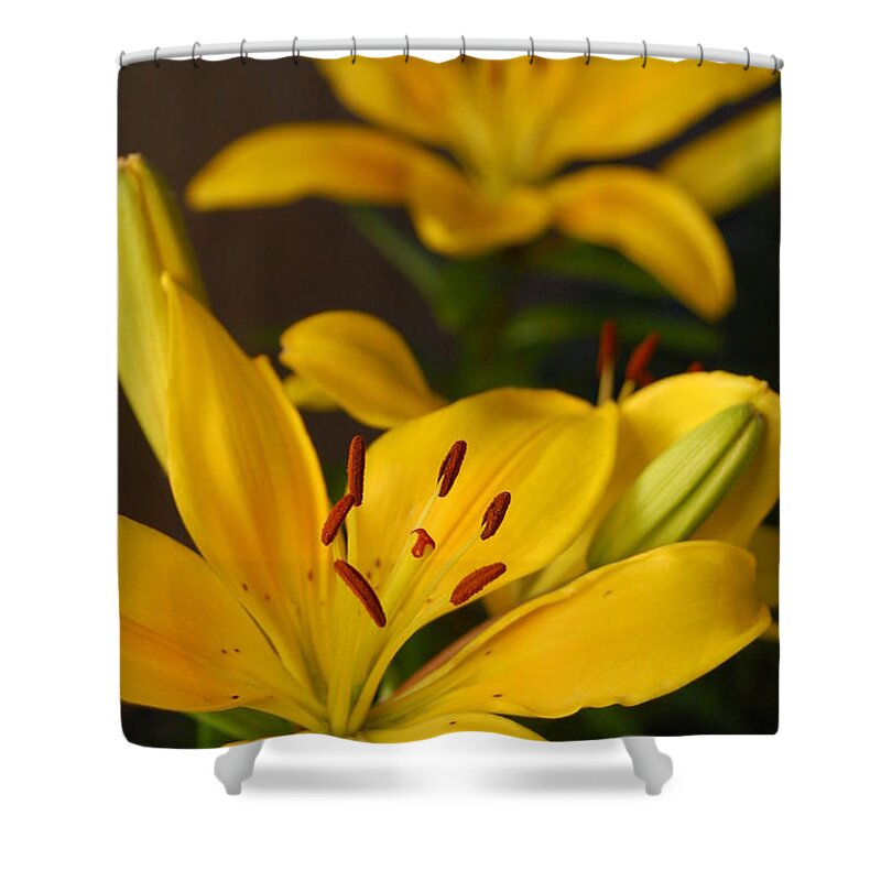 Flower Shower Curtain featuring the photograph Yellow Lily Mirror by Amy Fose