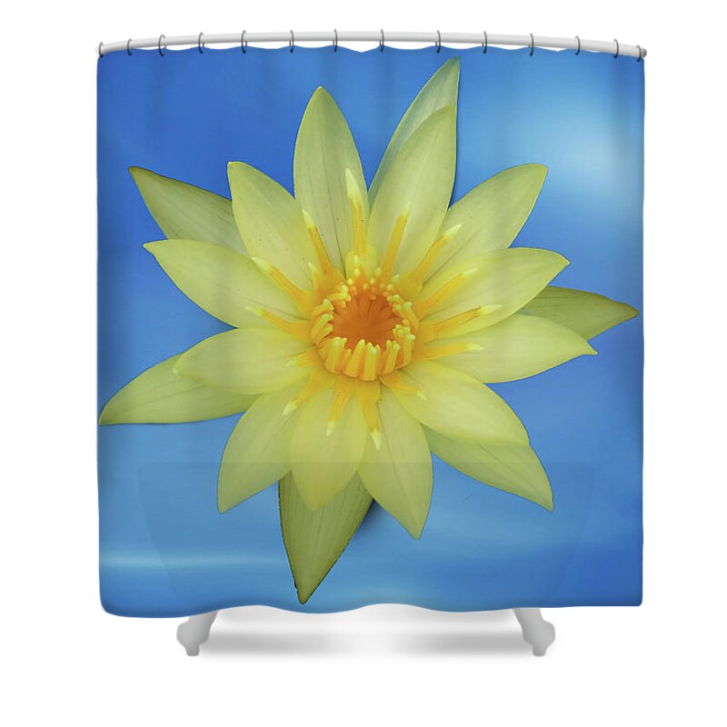 Blossom Shower Curtain featuring the photograph Yellow lotus by Ridwan Photography