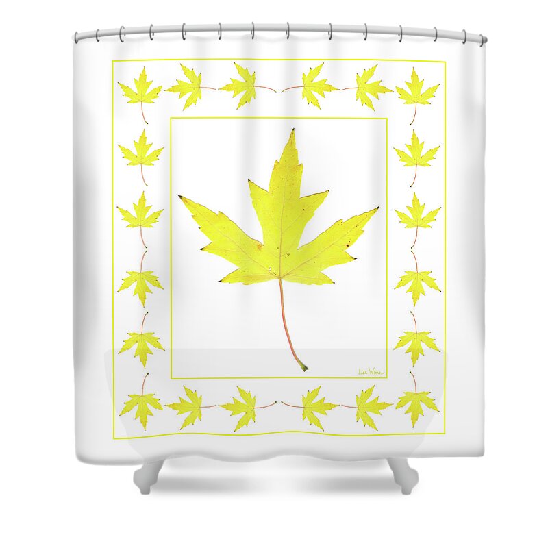 Lise Winne Shower Curtain featuring the digital art Yellow Maple Leaf with Border by Lise Winne