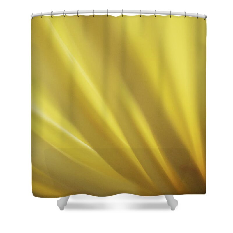 Photograph Shower Curtain featuring the photograph Yellow Mum Petals #13 by Larah McElroy