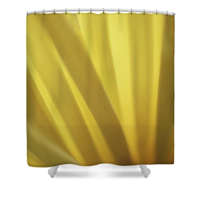 Photograph Shower Curtain featuring the photograph Yellow Mum Petals #7 by Larah McElroy