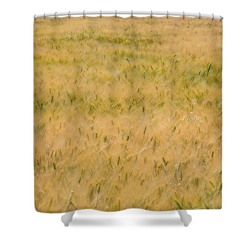 Abstract Shower Curtain featuring the photograph Yellow nature abstract background by Michalakis Ppalis