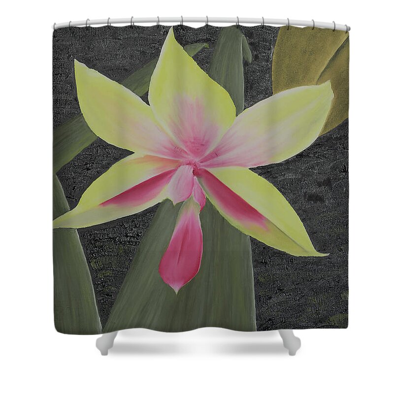 Fine Art Shower Curtain featuring the painting Yellow Orchid by Stephen Daddona