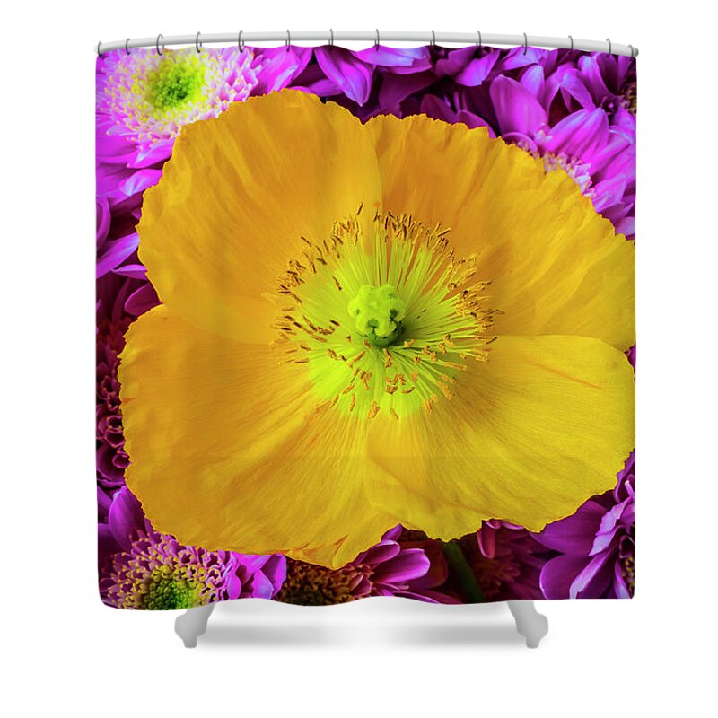 Icelandic Shower Curtain featuring the photograph Yellow Poppy And Poms by Garry Gay