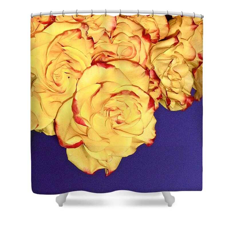 Yellow Shower Curtain featuring the photograph Yellow ROSES by Yelena Tylkina