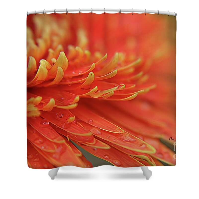 Flowers Shower Curtain featuring the photograph Yellow Tips by Yumi Johnson