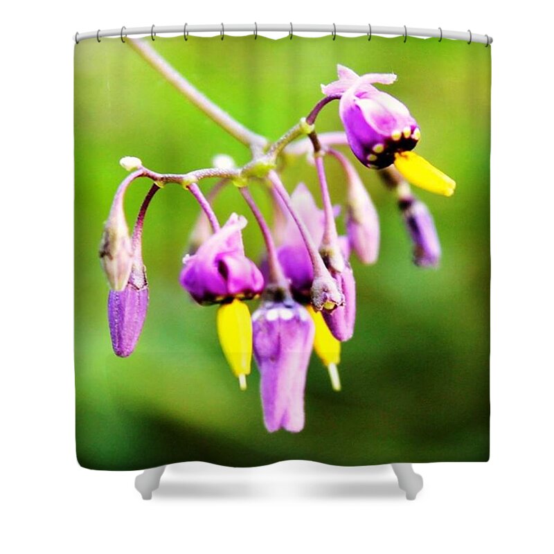 Plant Shower Curtain featuring the photograph Yellow Tongue by Justin Connor