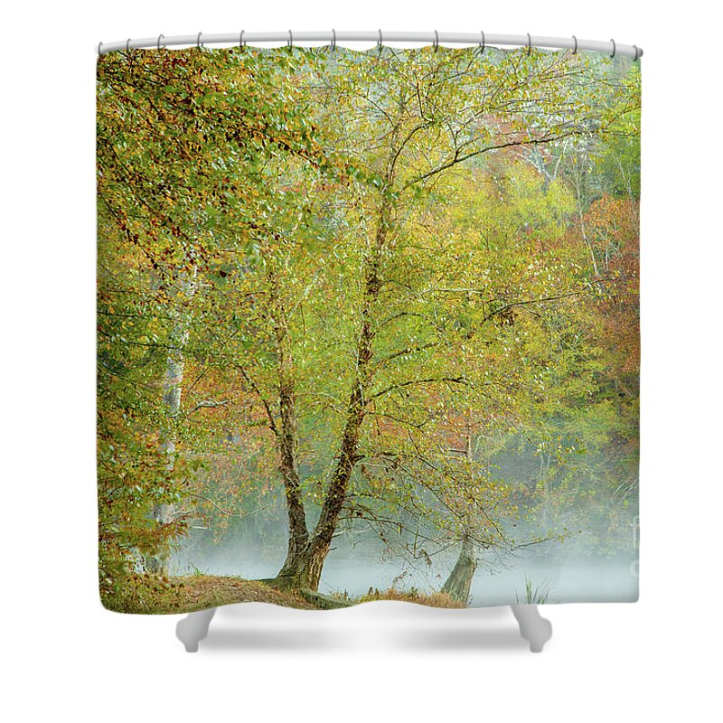 Landscape Shower Curtain featuring the photograph Yellow Trees by Iris Greenwell