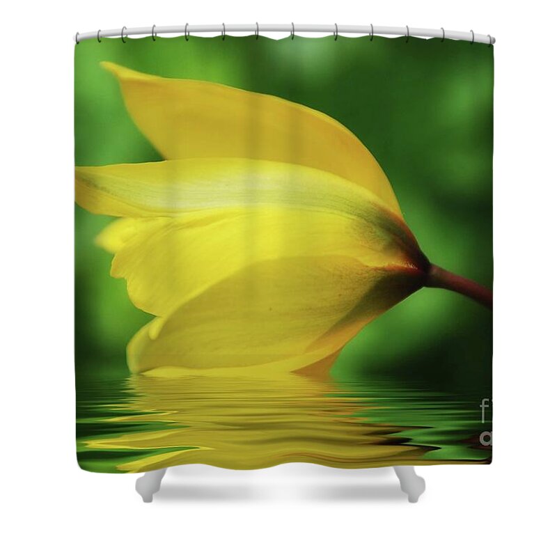 Flower Shower Curtain featuring the mixed media Yellow Tulip by Elaine Manley