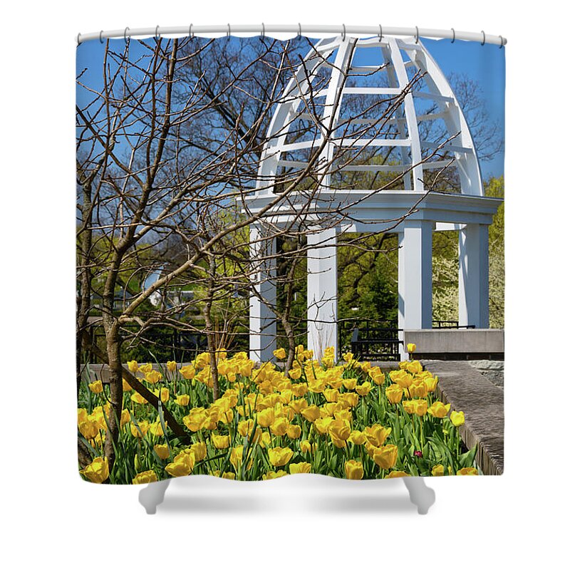 Tulip Shower Curtain featuring the photograph Yellow Tulips and Gazebo by Tom Mc Nemar